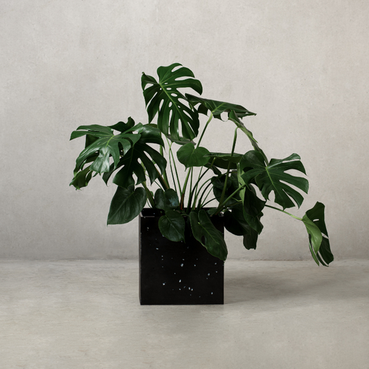 Cache-pot REABILI petit format